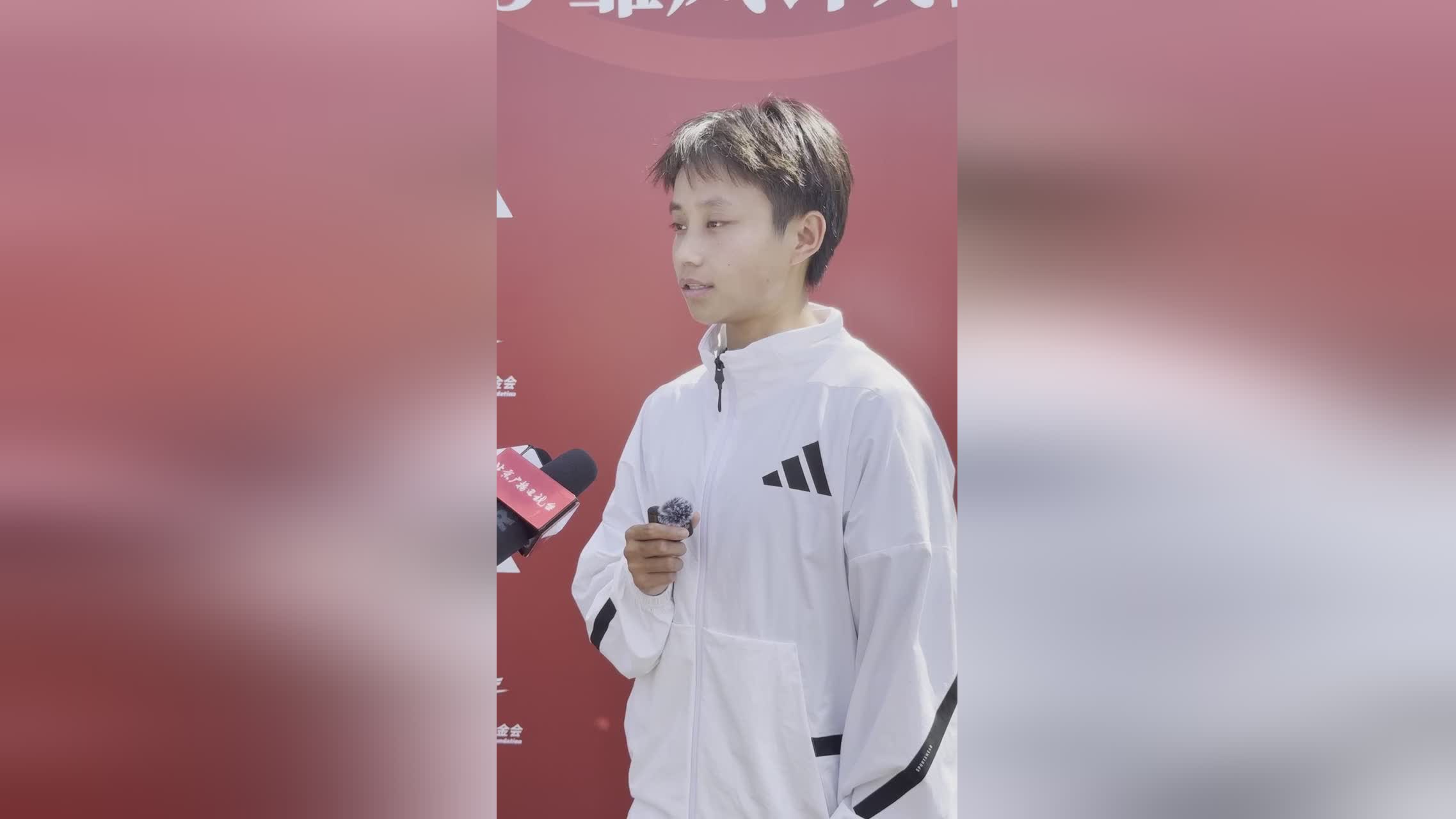 是继续努力, 我定期与德, 雏凤计划